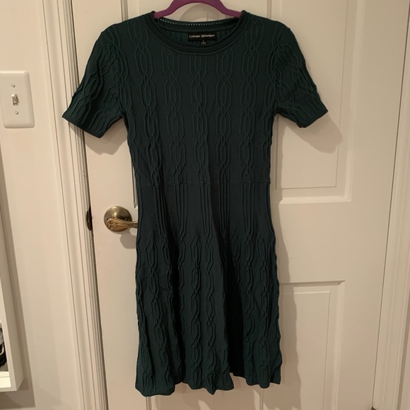 Catherine Malandrino Dresses & Skirts - Women’s forest green midi dress